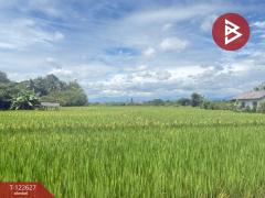 ขายที่ดินที่นา เนื้อที่ 2 ไร่ 3 งาน 94 ตารางวา บ้านยางคราม อ.ดอยหล่อ เชียงใหม่-202509231229361758605376468.jpg