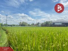 ขายที่ดินที่นา เนื้อที่ 2 ไร่ 3 งาน 94 ตารางวา บ้านยางคราม อ.ดอยหล่อ เชียงใหม่-202509231229361758605376994.jpg