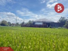 ขายที่ดินที่นา เนื้อที่ 2 ไร่ 3 งาน 94 ตารางวา บ้านยางคราม อ.ดอยหล่อ เชียงใหม่-202509231229371758605377516.jpg