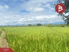 ขายที่ดินที่นา เนื้อที่ 2 ไร่ 3 งาน 94 ตารางวา บ้านยางคราม อ.ดอยหล่อ เชียงใหม่-202509231229381758605378041.jpg