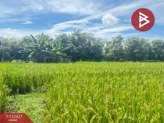 ขายที่ดินที่นา เนื้อที่ 2 ไร่ 3 งาน 94 ตารางวา บ้านยางคราม อ.ดอยหล่อ เชียงใหม่-202509231229381758605378570.jpg