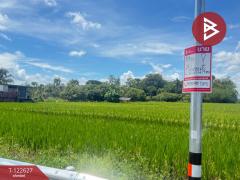 ขายที่ดินที่นา เนื้อที่ 2 ไร่ 3 งาน 94 ตารางวา บ้านยางคราม อ.ดอยหล่อ เชียงใหม่-202509231229391758605379097.jpg