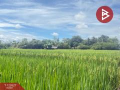 ขายที่ดินที่นา เนื้อที่ 2 ไร่ 3 งาน 94 ตารางวา บ้านยางคราม อ.ดอยหล่อ เชียงใหม่-202509231229391758605379629.jpg