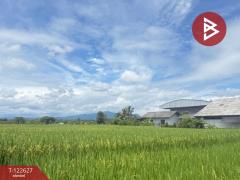 ขายที่ดินที่นา เนื้อที่ 2 ไร่ 3 งาน 94 ตารางวา บ้านยางคราม อ.ดอยหล่อ เชียงใหม่-202509231229401758605380162.jpg