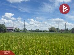 ขายที่ดินที่นา เนื้อที่ 2 ไร่ 3 งาน 94 ตารางวา บ้านยางคราม อ.ดอยหล่อ เชียงใหม่-202509231229411758605381217.jpg