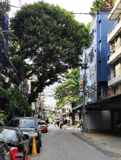 Old house for sale need to rebuild for residence business zone near MRT HUAIKHWANG