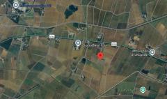 ขายที่ดินเปล่า 83 ไร่ อ.สองพี่น้อง จ.สุพรรณบุรี