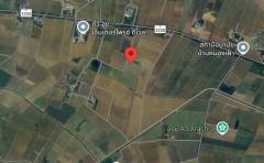 ขายที่ดินเปล่า 83 ไร่ อ.สองพี่น้อง จ.สุพรรณบุรี-202509231335061758609306459.jpg