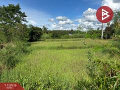 ขายที่ดิน เนื้อที่ 1 ไร่ 1 งาน 51.6 ตร.วา นครไทย พิษณุโลก