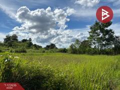 ขายที่ดิน เนื้อที่ 1 ไร่ 1 งาน 51.6 ตร.วา นครไทย พิษณุโลก-202509231412421758611562776.jpg