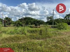 ขายที่ดิน เนื้อที่ 1 ไร่ 1 งาน 51.6 ตร.วา นครไทย พิษณุโลก-202509231412441758611564366.jpg