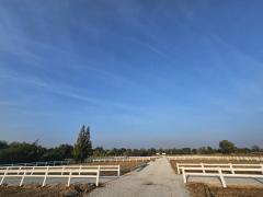 โอกาสทองสำหรับการลงทุน ที่ดินวิวเขา 200 ตรว. สุดพิเศษ ใจกลางเขาใหญ่ 