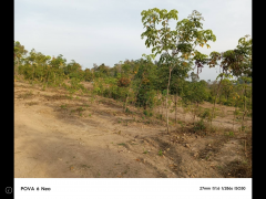 ขายที่ดิน200ไร่เป็นเนินเขาหลายเนินเหมือนทางภาคเหนือ เหมาะสร้างโรงแรม รีสอร์ต ศูนย์ปฎิบัติธรรม ปลูกสวนทุเรียน ขายเพียงไร่ละ9.5หมื่น ย่านนี้ขายกันไร่ละ1.2แสนขี้นทั้งนั้น เอกสารสิทธ์นส.3ก.ครุฑเขียวเทียบเท่าโฉนด ตัดสินใจช้าไม่ทันน่ะครับ-202509240638211758670701020.png