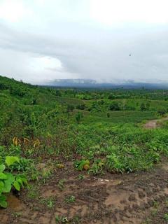 ขายที่ดิน200ไร่เป็นเนินเขาหลายเนินเหมือนทางภาคเหนือ เหมาะสร้างโรงแรม รีสอร์ต ศูนย์ปฎิบัติธรรม ปลูกสวนทุเรียน ขายเพียงไร่ละ9.5หมื่น ย่านนี้ขายกันไร่ละ1.2แสนขี้นทั้งนั้น เอกสารสิทธ์นส.3ก.ครุฑเขียวเทียบเท่าโฉนด ตัดสินใจช้าไม่ทันน่ะครับ-202509240638231758670703384.jpeg