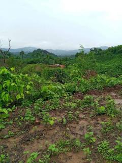 ขายที่ดิน200ไร่เป็นเนินเขาหลายเนินเหมือนทางภาคเหนือ เหมาะสร้างโรงแรม รีสอร์ต ศูนย์ปฎิบัติธรรม ปลูกสวนทุเรียน ขายเพียงไร่ละ9.5หมื่น ย่านนี้ขายกันไร่ละ1.2แสนขี้นทั้งนั้น เอกสารสิทธ์นส.3ก.ครุฑเขียวเทียบเท่าโฉนด ตัดสินใจช้าไม่ทันน่ะครับ-202509240638251758670705356.jpeg