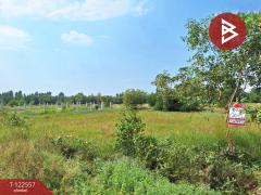 ขายที่ดิน เนื้อที่ 1 งาน 30 ตร.วา พรหมณี นครนายก-202509240938041758681484171.jpg