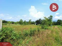 ขายที่ดิน เนื้อที่ 1 งาน 30 ตร.วา พรหมณี นครนายก-202509240938051758681485394.jpg