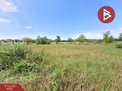 ขายที่ดิน เนื้อที่ 1 งาน 30 ตร.วา พรหมณี นครนายก-202509240938051758681485931.jpg