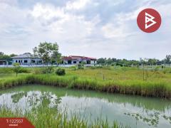 ขายที่ดิน เนื้อที่ 1 งาน 30 ตร.วา พรหมณี นครนายก-202509240938061758681486465.jpg