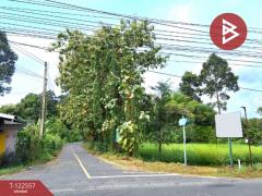 ขายที่ดิน เนื้อที่ 1 งาน 30 ตร.วา พรหมณี นครนายก-202509240938081758681488576.jpg