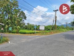 ขายที่ดิน เนื้อที่ 1 งาน 30 ตร.วา พรหมณี นครนายก-202509240938091758681489106.jpg