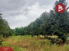 ขายที่ดิน เนื้อที่ 7 ไร่ 1 งาน 76 ตร.วา เขาคิชฌกูฏ จันทบุรี