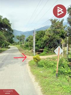 ขายที่ดิน เนื้อที่ 7 ไร่ 1 งาน 76 ตร.วา เขาคิชฌกูฏ จันทบุรี-202509241004111758683051889.jpg