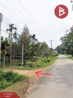 ขายที่ดิน เนื้อที่ 7 ไร่ 1 งาน 76 ตร.วา เขาคิชฌกูฏ จันทบุรี-202509241004121758683052442.jpg