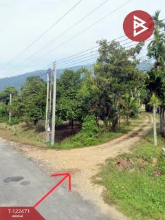 ขายที่ดิน เนื้อที่ 7 ไร่ 1 งาน 76 ตร.วา เขาคิชฌกูฏ จันทบุรี-202509241004121758683052962.jpg