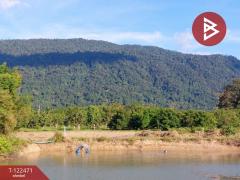 ขายที่ดิน เนื้อที่ 7 ไร่ 1 งาน 76 ตร.วา เขาคิชฌกูฏ จันทบุรี-202509241004131758683053487.jpg