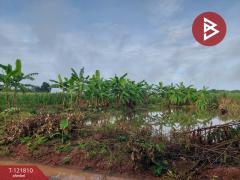 ขายที่ดิน เนื้อที่ 17 ไร่ 85 ตร.วา โนนไทย นครราชสีมา-202509241008351758683315776.jpg