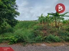 ขายที่ดิน เนื้อที่ 17 ไร่ 85 ตร.วา โนนไทย นครราชสีมา-202509241008361758683316308.jpg