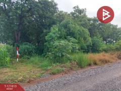 ขายที่ดิน เนื้อที่ 17 ไร่ 85 ตร.วา โนนไทย นครราชสีมา-202509241008361758683316844.jpg