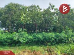 ขายที่ดิน เนื้อที่ 17 ไร่ 85 ตร.วา โนนไทย นครราชสีมา-202509241008371758683317376.jpg