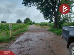 ขายที่ดิน เนื้อที่ 17 ไร่ 85 ตร.วา โนนไทย นครราชสีมา-202509241008371758683317907.jpg