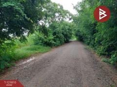 ขายที่ดิน เนื้อที่ 17 ไร่ 85 ตร.วา โนนไทย นครราชสีมา-202509241008381758683318439.jpg