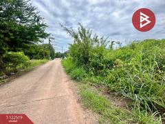 ขายที่ดิน เนื้อที่ 1 งาน 10 ตารางวา รอบเมือง ปราจีนบุรี-202509241050111758685811593.jpg