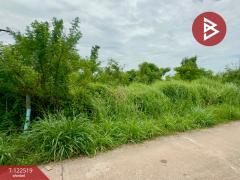 ขายที่ดิน เนื้อที่ 1 งาน 10 ตารางวา รอบเมือง ปราจีนบุรี-202509241050121758685812145.jpg