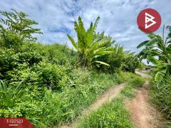 ขายที่ดิน เนื้อที่ 1 งาน 13.2 ตารางวา รอบเมือง ปราจีนบุรี-202509241056551758686215668.jpg