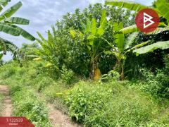 ขายที่ดิน เนื้อที่ 1 งาน 13.2 ตารางวา รอบเมือง ปราจีนบุรี-202509241056561758686216208.jpg