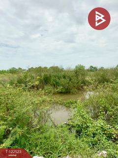 ขายที่ดิน เนื้อที่ 1 งาน 13.2 ตารางวา รอบเมือง ปราจีนบุรี-202509241056561758686216739.jpg