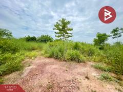 ขายที่ดิน เนื้อที่ 1 งาน 13.2 ตารางวา รอบเมือง ปราจีนบุรี-202509241056571758686217257.jpg