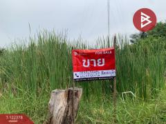 ขายที่ดิน-เนื้อที่-1-งาน-5-ตร.วา-หนองจอ