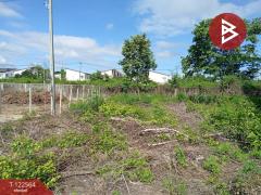 ขายที่ดินเปล่า เนื้อที่ 1 งาน 28.1 ตารางวา ต.สนามจันทร์ นครปฐม ใกล้เซ็นทรัล