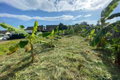 ขายที่ดินศรีราชา 241 ตร.วา  ถนนเก้ากิโล ใกล้โรงเรียนอัสสัมชัญ ชลบุรี-202509241137251758688645217.jpg