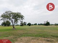  ขายที่ดิน เนื้อที่ 3 ไร่ 3 งาน 78.7 ตร.วา เดิมบางนางบวช สุพรรณบุรี-202509241157341758689854136.jpg