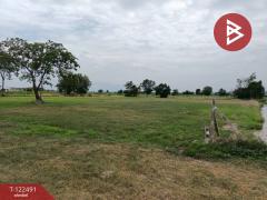  ขายที่ดิน เนื้อที่ 3 ไร่ 3 งาน 78.7 ตร.วา เดิมบางนางบวช สุพรรณบุรี-202509241157341758689854672.jpg