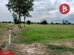  ขายที่ดิน เนื้อที่ 3 ไร่ 3 งาน 78.7 ตร.วา เดิมบางนางบวช สุพรรณบุรี-202509241157351758689855216.jpg