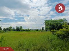 ขายด่วนที่ดินเปล่าถมแล้ว เนื้อที่ 2 ไร่ 1 งาน ต.หัวนาคำ อ.ยางตลาด กาฬสินธุ์-202509241255571758693357405.jpg