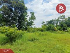 ขายด่วนที่ดินเปล่าถมแล้ว เนื้อที่ 2 ไร่ 1 งาน ต.หัวนาคำ อ.ยางตลาด กาฬสินธุ์-202509241255571758693357932.jpg